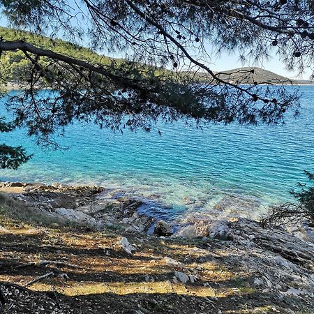 Villa Long Island Luxury Residence, Sali Dugi Otok-Private Parking,Next To Beach Eksteriør billede